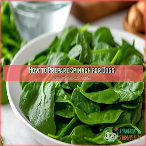 How to Prepare Spinach for Dogs