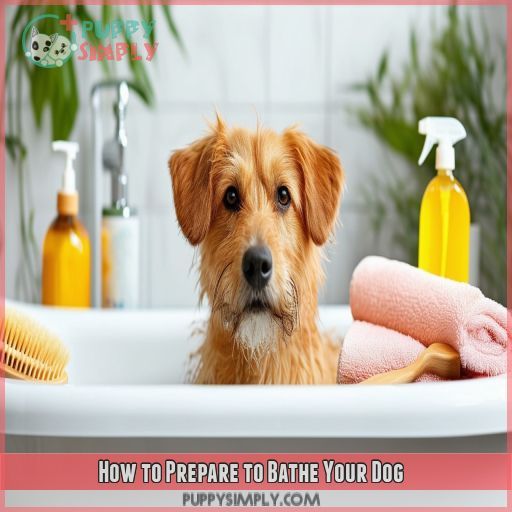 How to Prepare to Bathe Your Dog