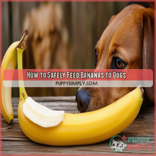 How to Safely Feed Bananas to Dogs