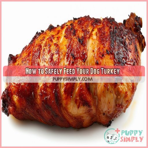 How to Safely Feed Your Dog Turkey