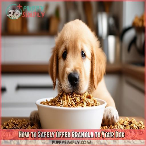 How to Safely Offer Granola to Your Dog