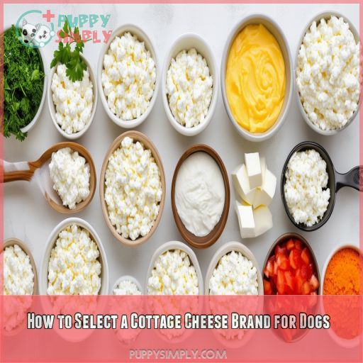 How to Select a Cottage Cheese Brand for Dogs