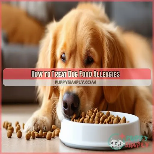 How to Treat Dog Food Allergies