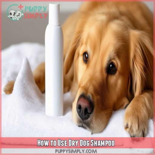 How to Use Dry Dog Shampoo