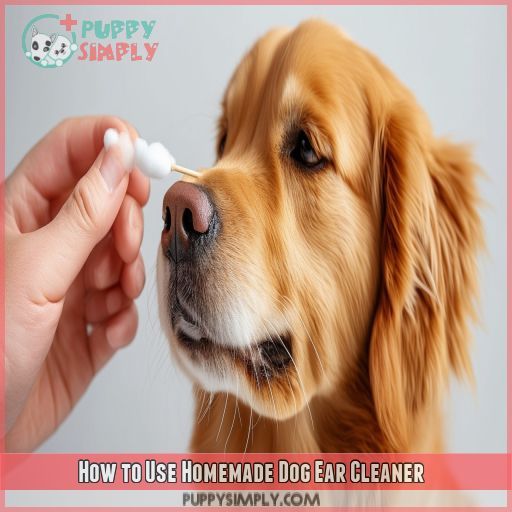 How to Use Homemade Dog Ear Cleaner