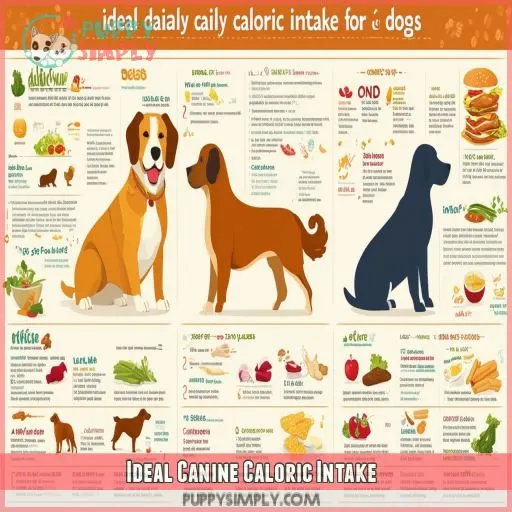 Ideal Canine Caloric Intake