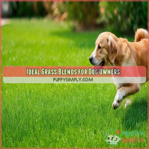 Ideal Grass Blends for Dog Owners