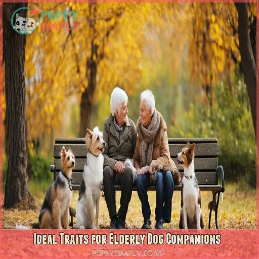 Ideal Traits for Elderly Dog Companions