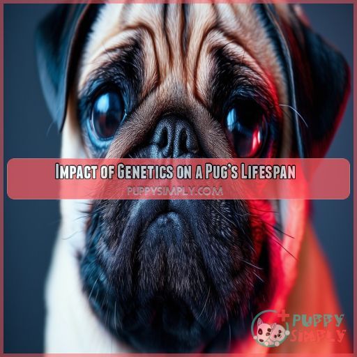 Impact of Genetics on a Pug’s Lifespan