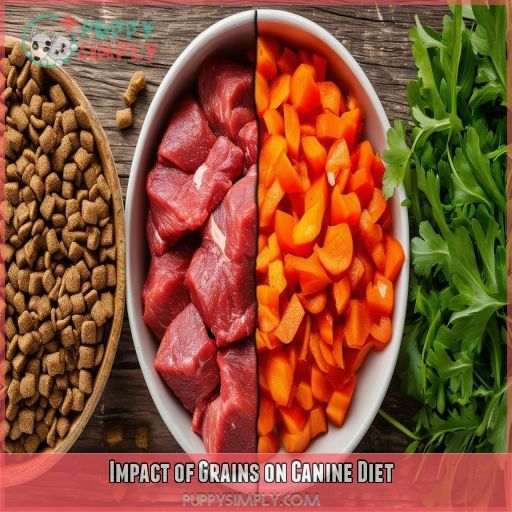 Impact of Grains on Canine Diet