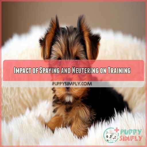 Impact of Spaying and Neutering on Training