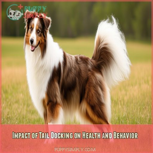 Impact of Tail Docking on Health and Behavior