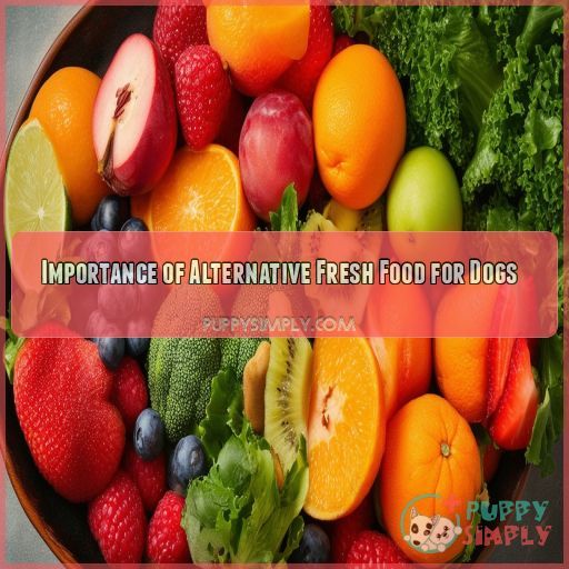 Importance of Alternative Fresh Food for Dogs