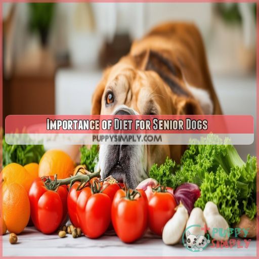 Importance of Diet for Senior Dogs