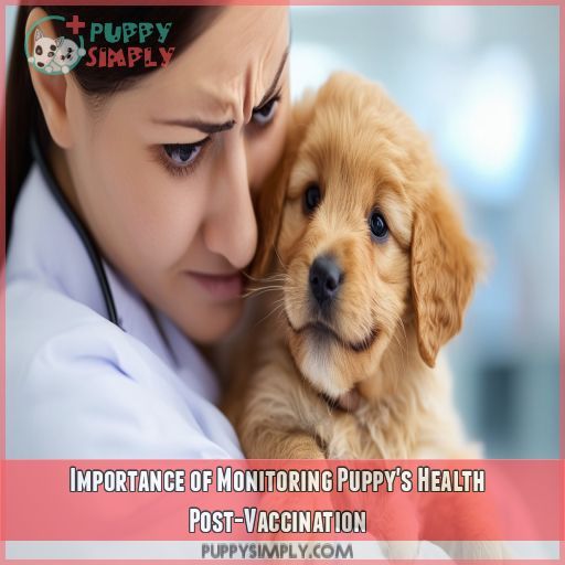 Importance of Monitoring Puppy