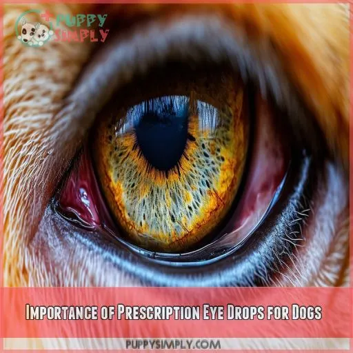 Importance of Prescription Eye Drops for Dogs