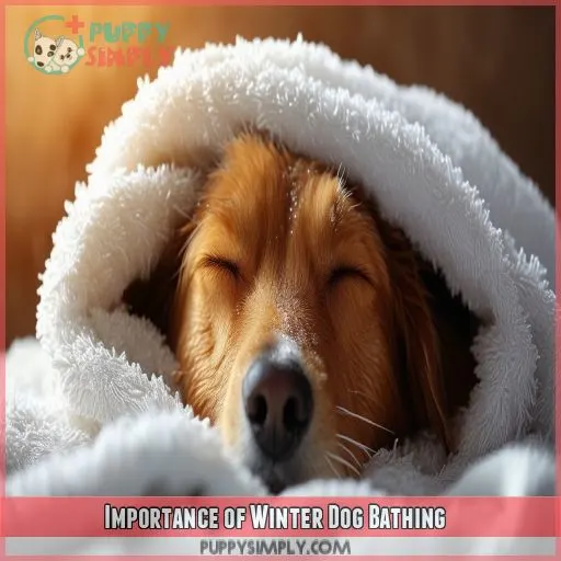 Importance of Winter Dog Bathing