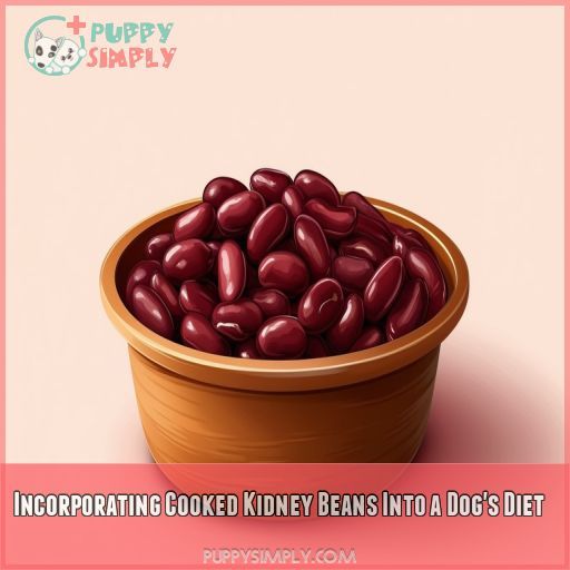 Incorporating Cooked Kidney Beans Into a Dog