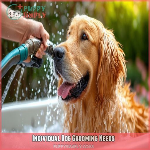 Individual Dog Grooming Needs