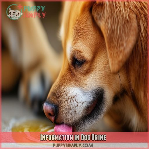 Information in Dog Urine