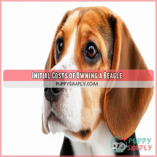 Initial Costs of Owning a Beagle