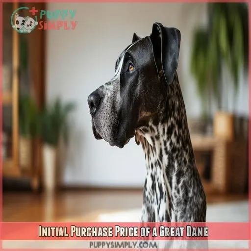 Initial Purchase Price of a Great Dane