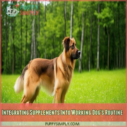 Integrating Supplements Into Working Dog's Routine Integrating Supplements Into Working Dog's Routine