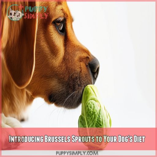 Introducing Brussels Sprouts to Your Dog