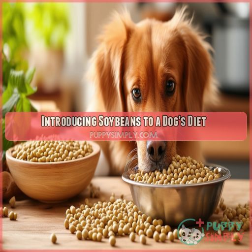 Introducing Soybeans to a Dog