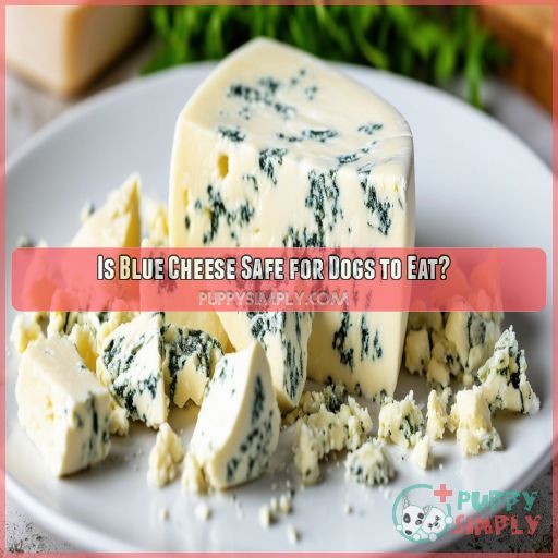 Is Blue Cheese Safe for Dogs to Eat