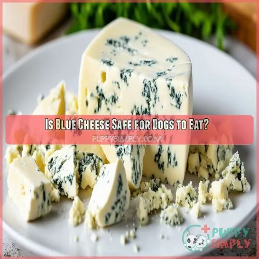 Is Blue Cheese Safe for Dogs to Eat