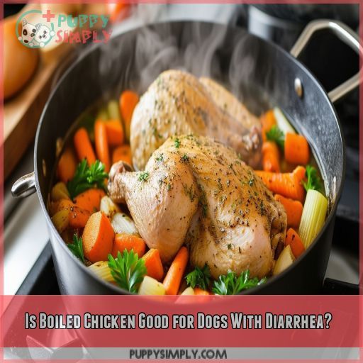 Is Boiled Chicken Good for Dogs With Diarrhea