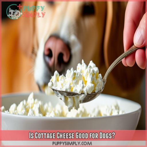 Is Cottage Cheese Good for Dogs