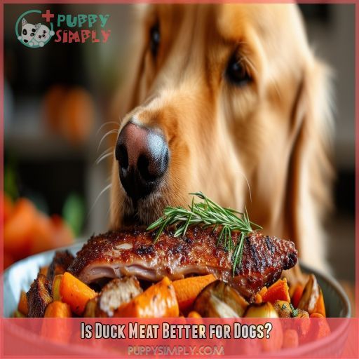 Is Duck Meat Better for Dogs