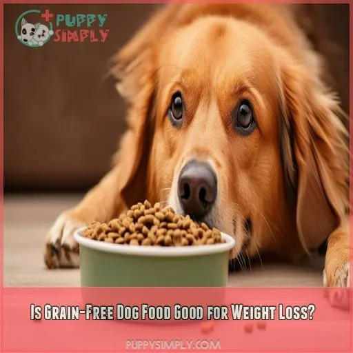 Is Grain-Free Dog Food Good for Weight Loss