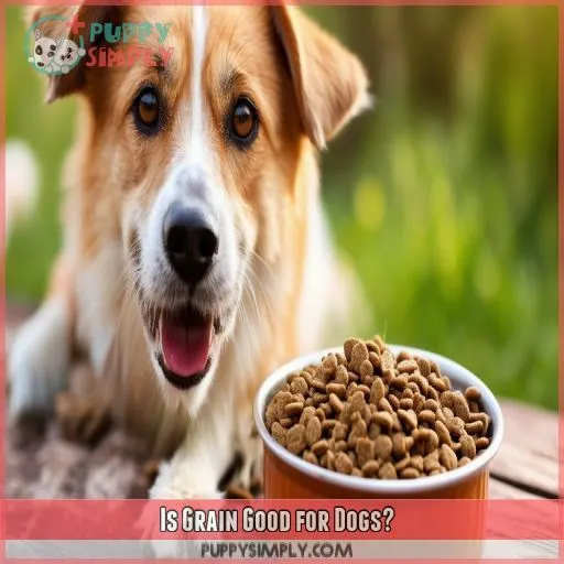 Is Grain Good for Dogs