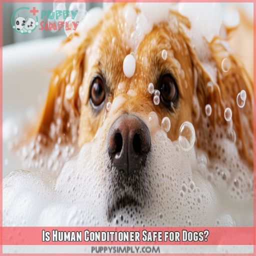 Is Human Conditioner Safe for Dogs