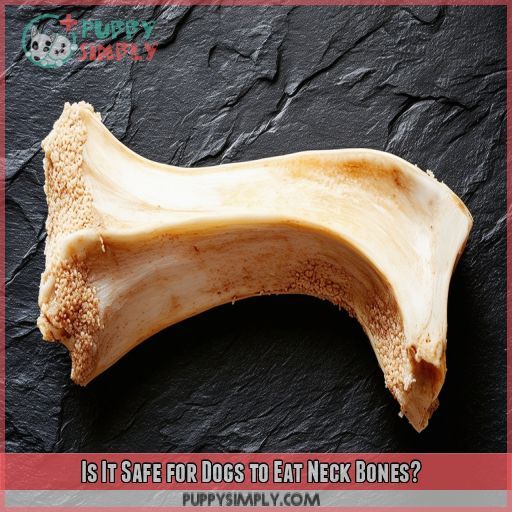 Is It Safe for Dogs to Eat Neck Bones