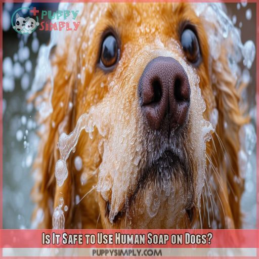 Is It Safe to Use Human Soap on Dogs