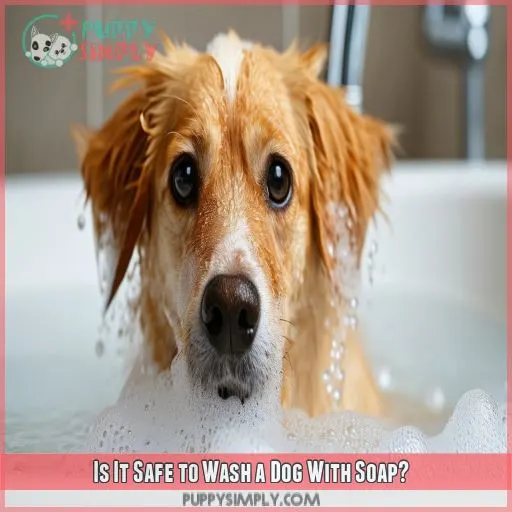 Is It Safe to Wash a Dog With Soap