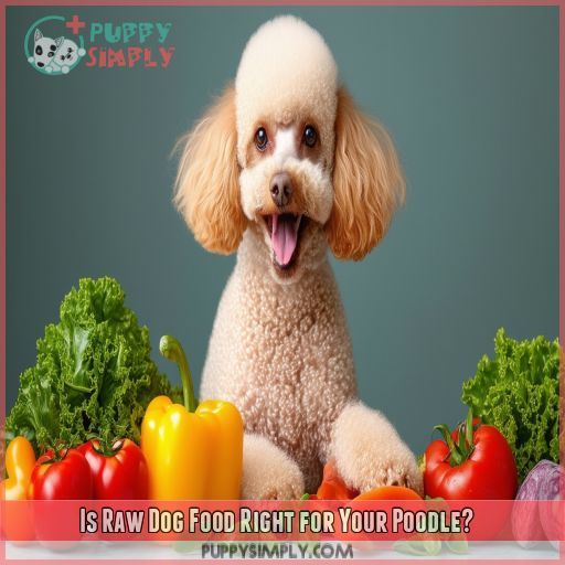 Is Raw Dog Food Right for Your Poodle