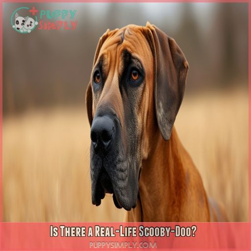 Is There a Real-Life Scooby-Doo