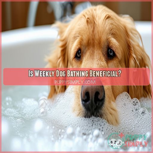 Is Weekly Dog Bathing Beneficial
