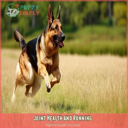 Joint Health and Running