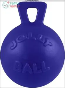 Jolly Pets Tug-n-Toss Dog Toy