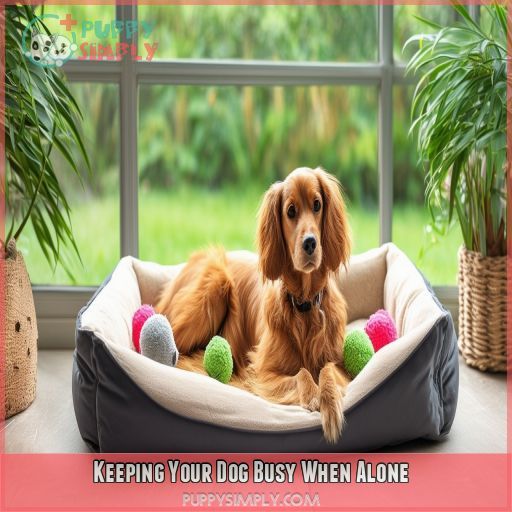 Keeping Your Dog Busy When Alone
