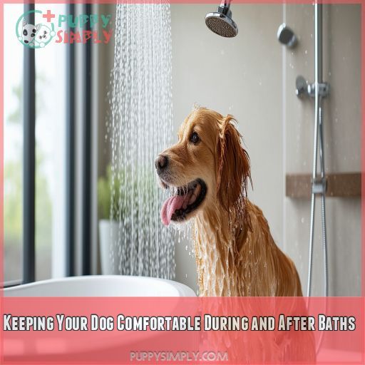 Keeping Your Dog Comfortable During and After Baths