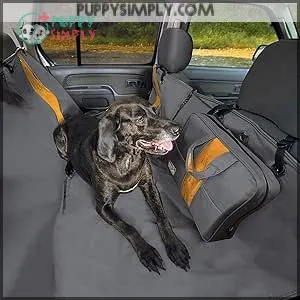Kurgo Dog Hammock Car Seat