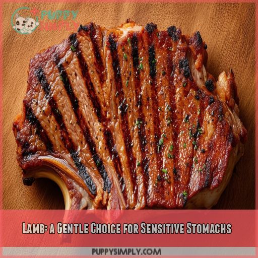 Lamb: a Gentle Choice for Sensitive Stomachs