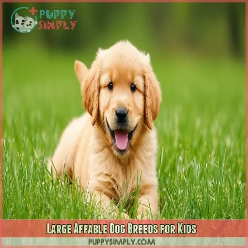 Large Affable Dog Breeds for Kids